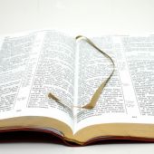 Библия каноническая 065 (светло-коричневая, кожзам., золотой обрез, Библия для всех)